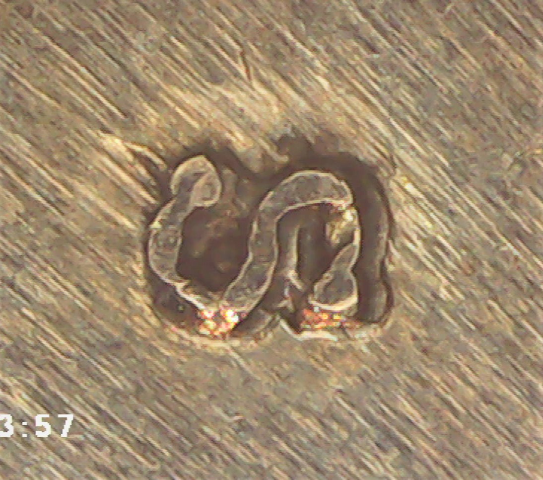 1922-S-USA-RPM-Peace-Dollar-Coin,